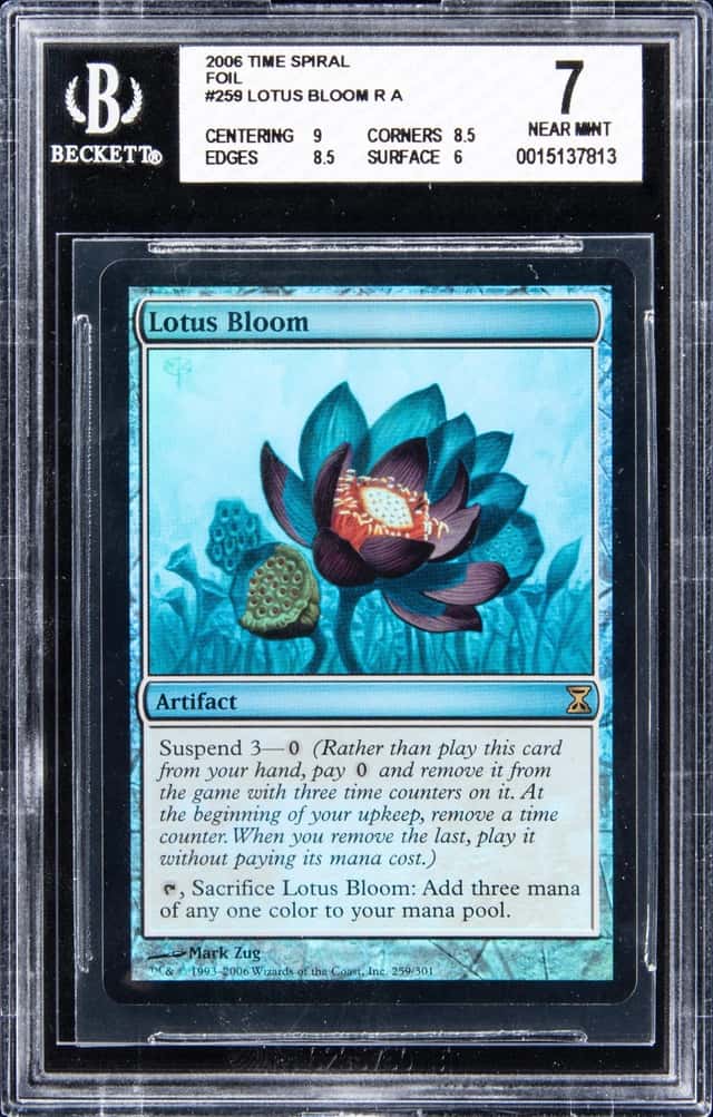 Lotus Bloom