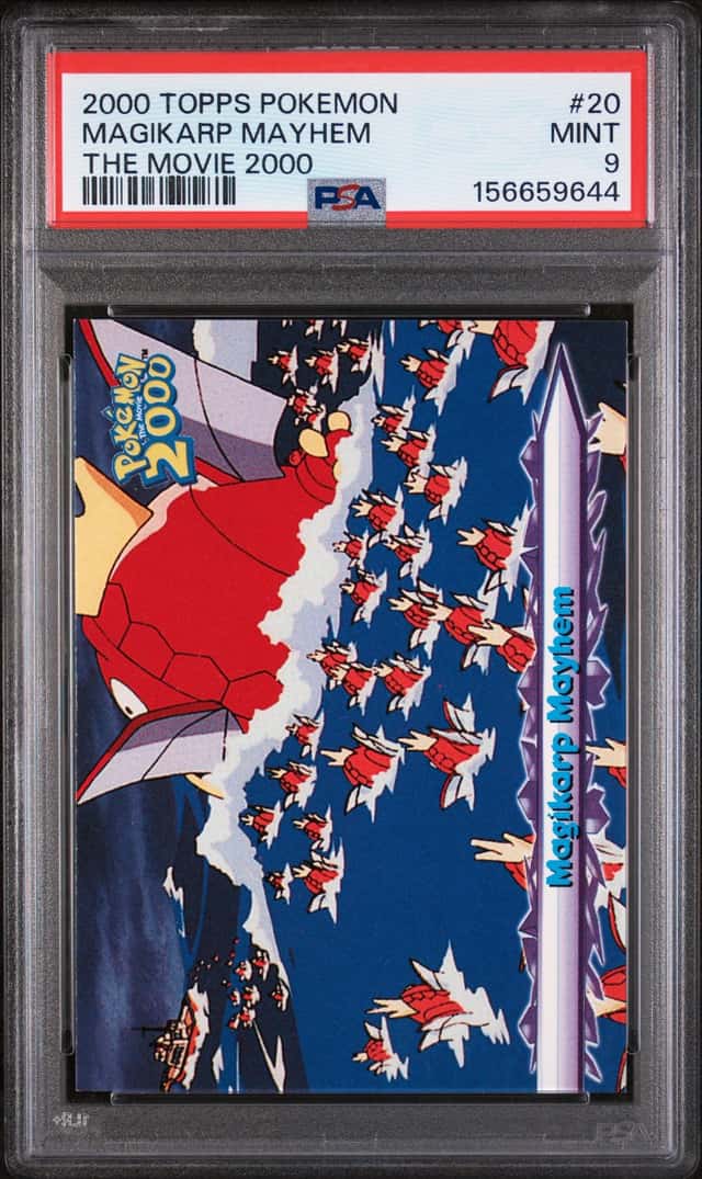 Magikarp Mayhem