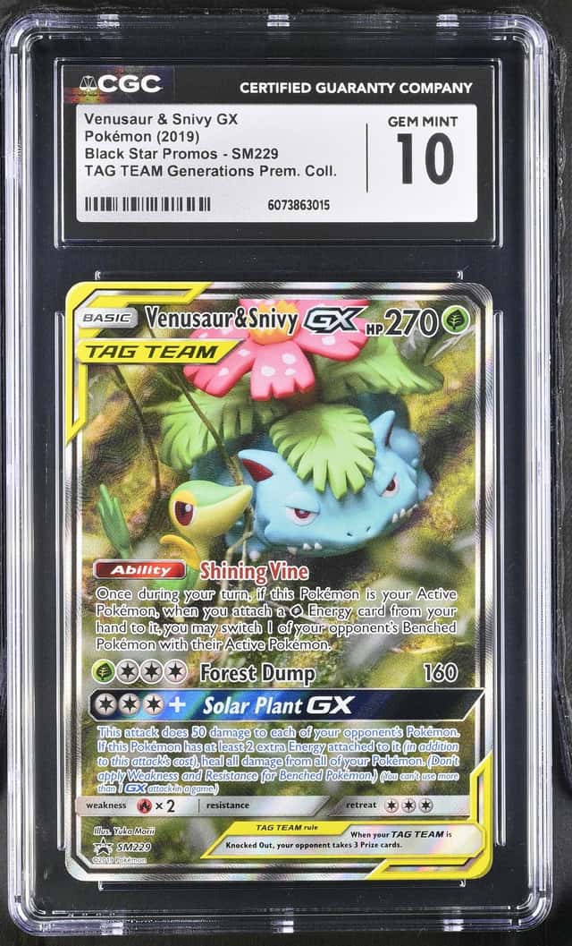 Venusaur & Snivy GX