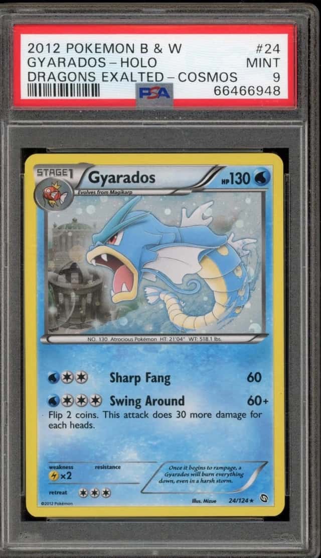 Gyarados