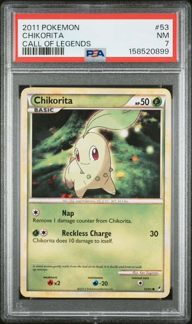 Chikorita