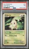 Chikorita
