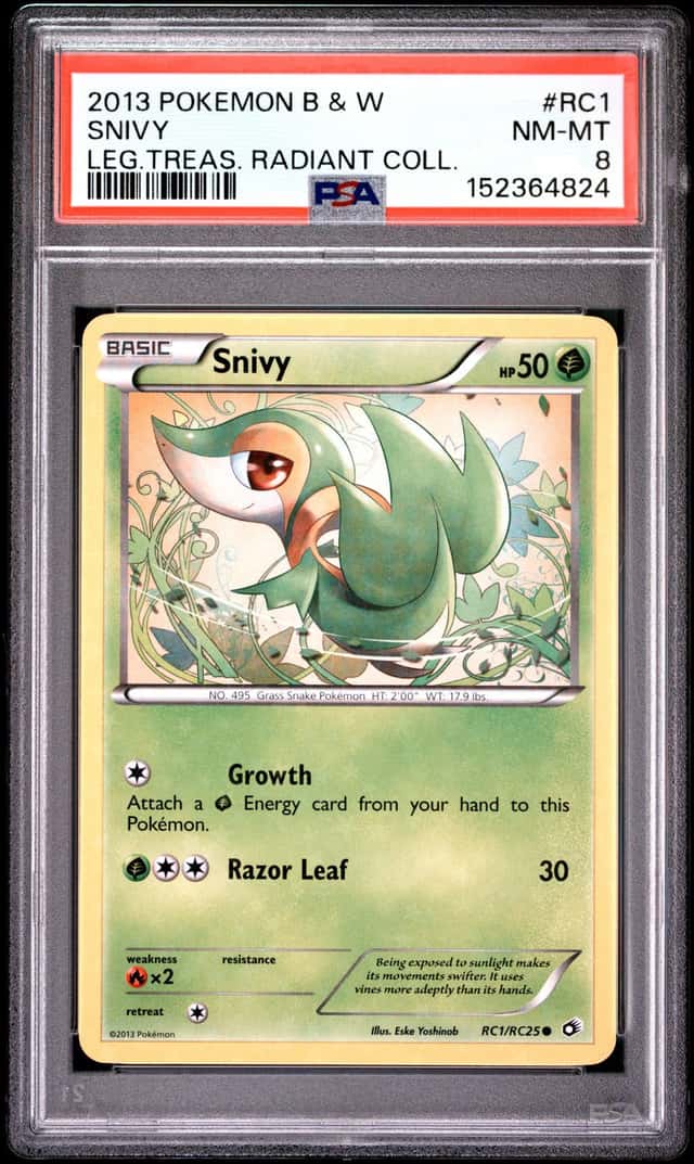 Snivy