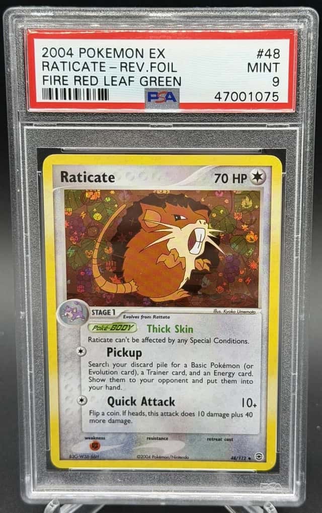Raticate