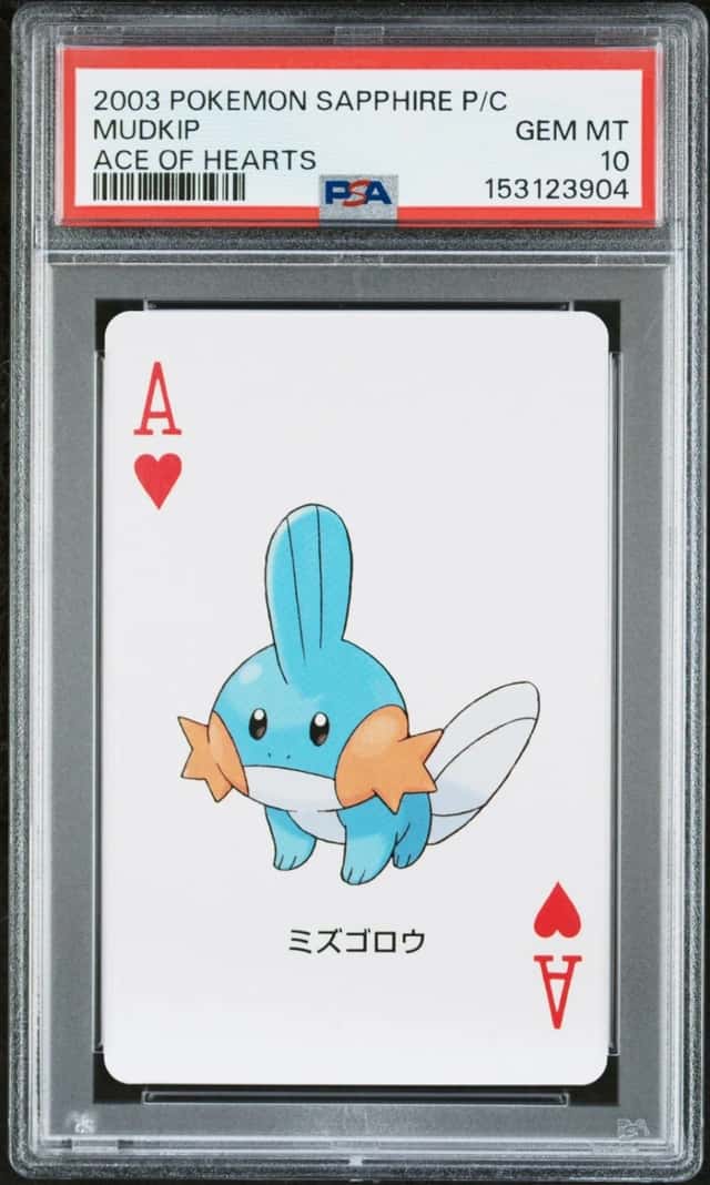 Mudkip