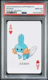 Mudkip