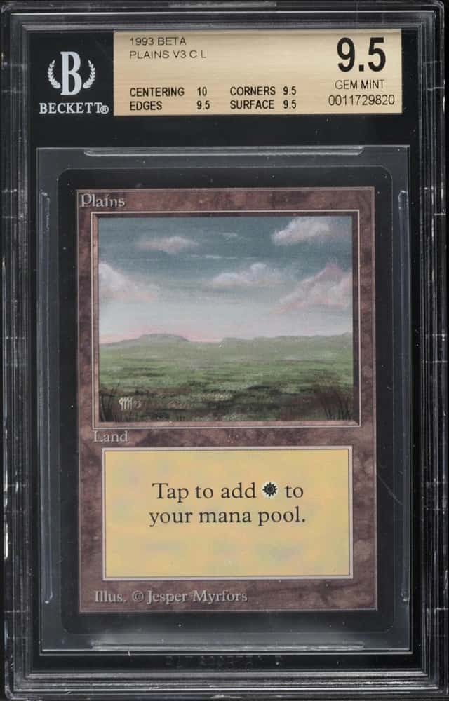 Plains v3 L