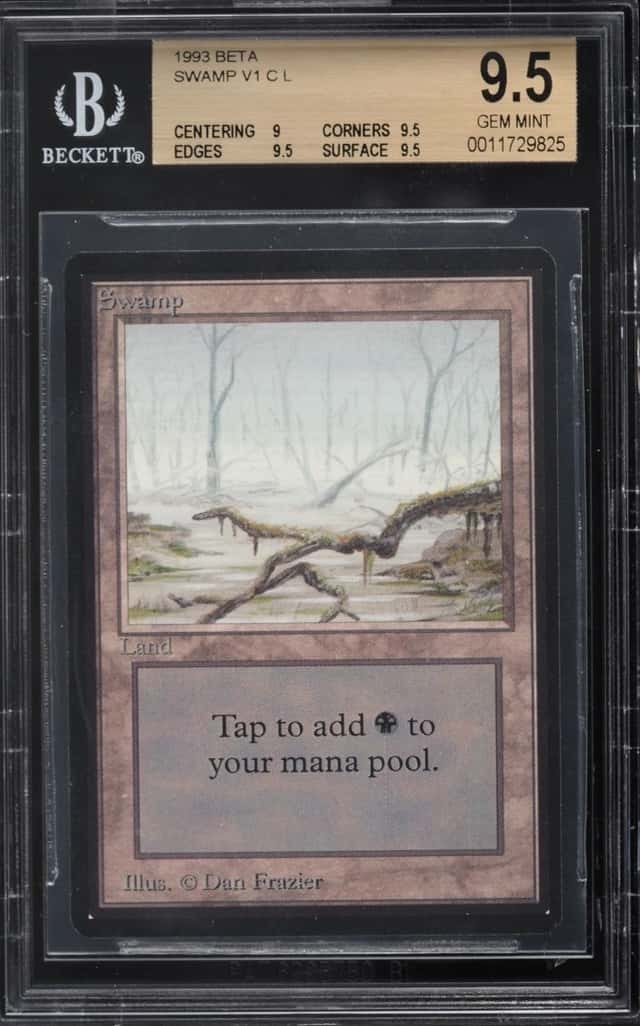 Swamp (Brown Tint)