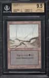 Swamp (brown Tint)