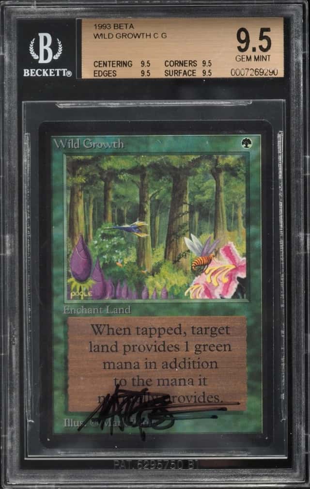 Wild Growth