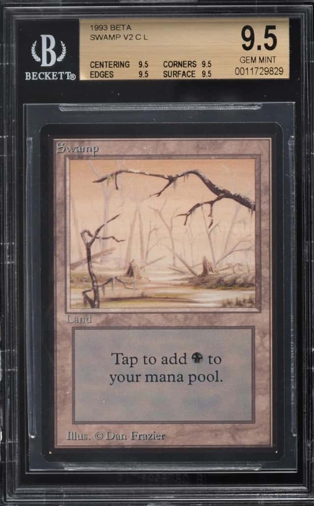 Swamp v2 C :L: