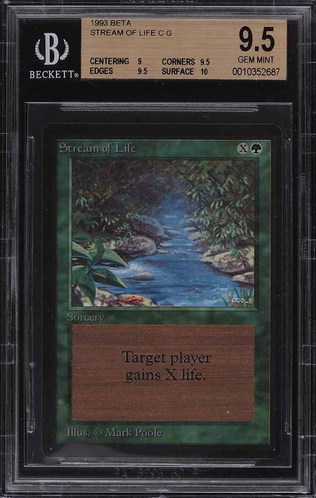 Stream of Life