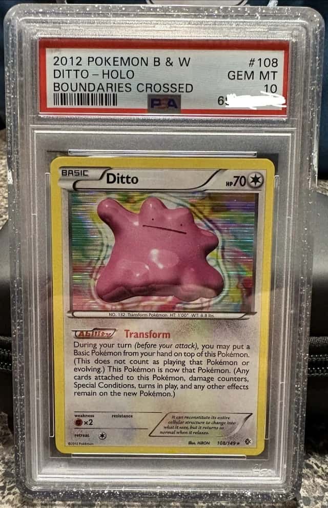 Ditto