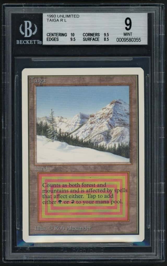 Taiga R :L: