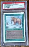 War Mammoth