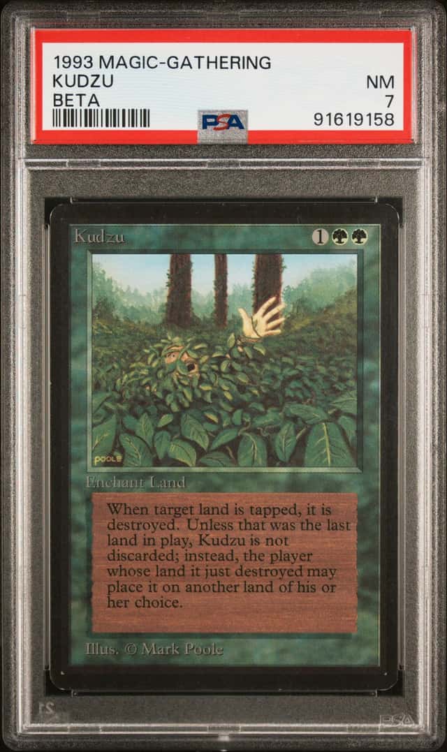 Kudzu