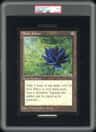 Black Lotus