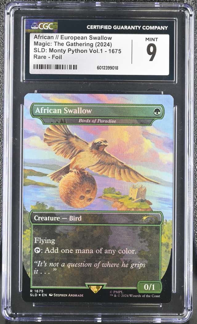 African // European Swallow