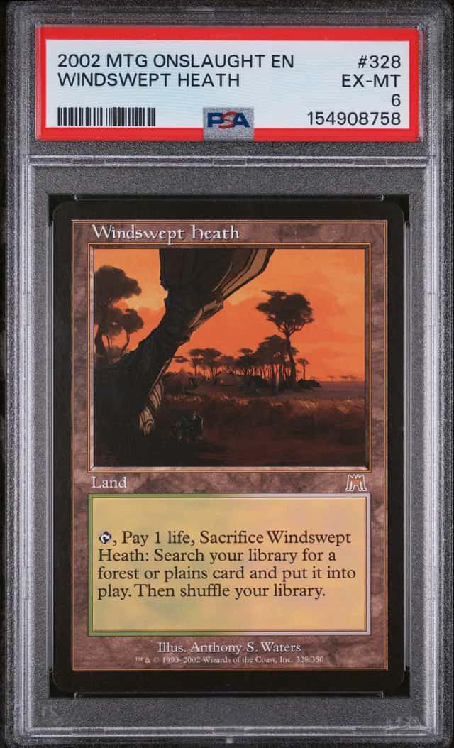 Windswept Heath