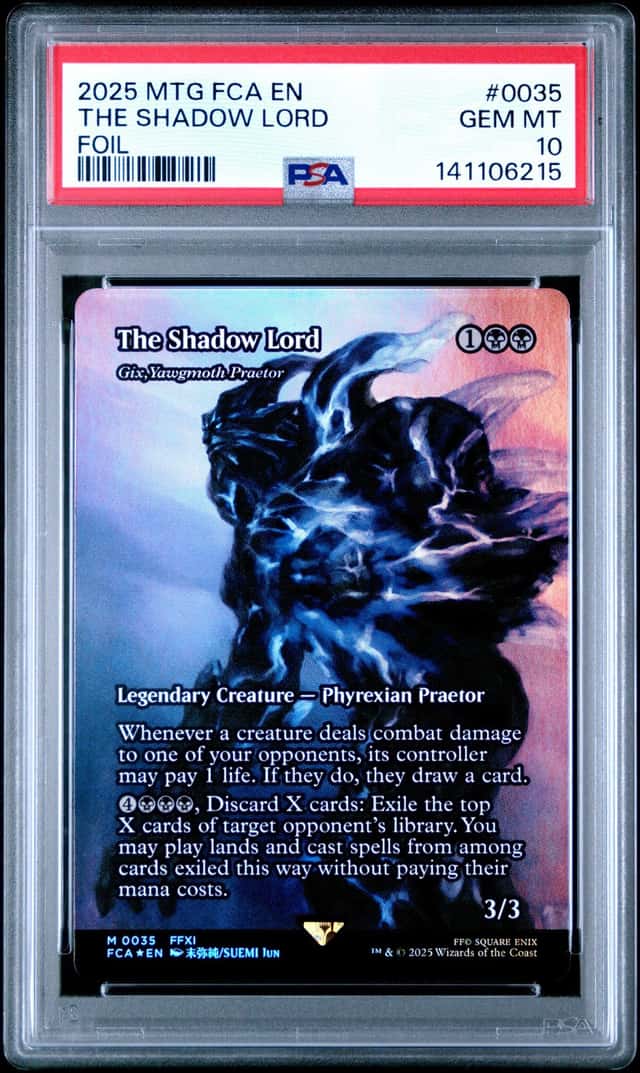 The Shadow Lord