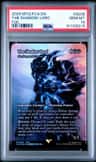 The Shadow Lord