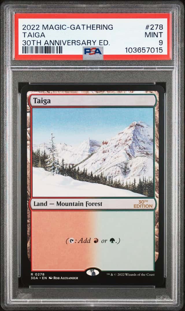 Taiga