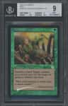 Sylvan Safekeeper R :g: