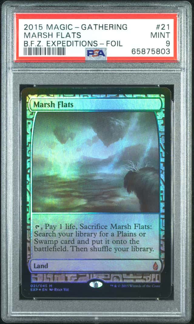 Marsh Flats