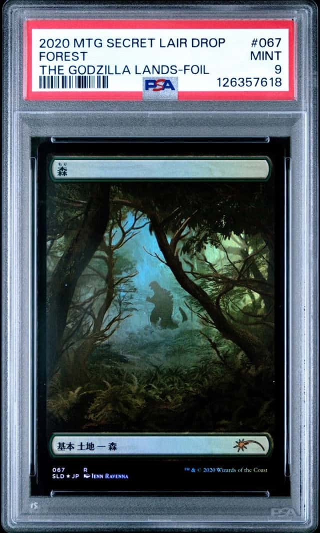 Forest