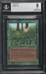 Kudzu R :g: