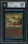 Thicket Basilisk