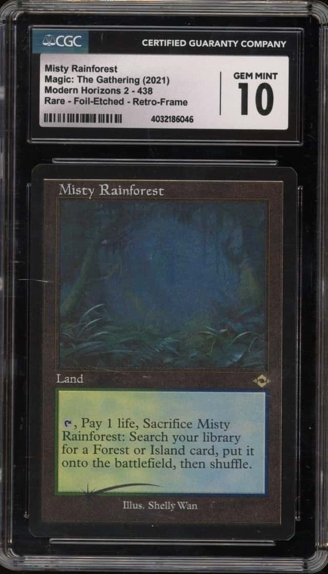 Misty Rainforest