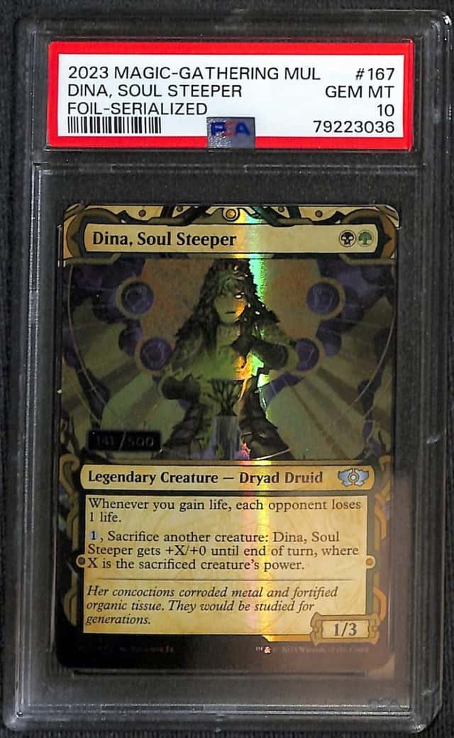 Dina, Soul Steeper