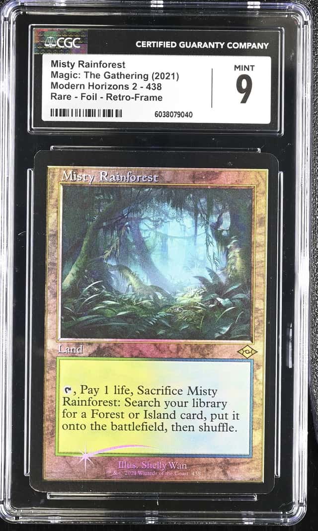 Misty Rainforest