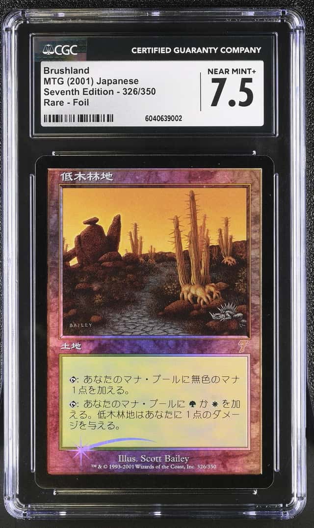 Brushland