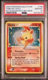 Torchic