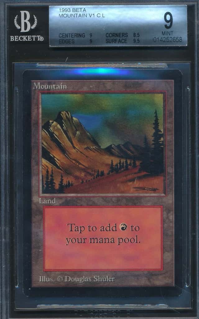 Mountain v1 L