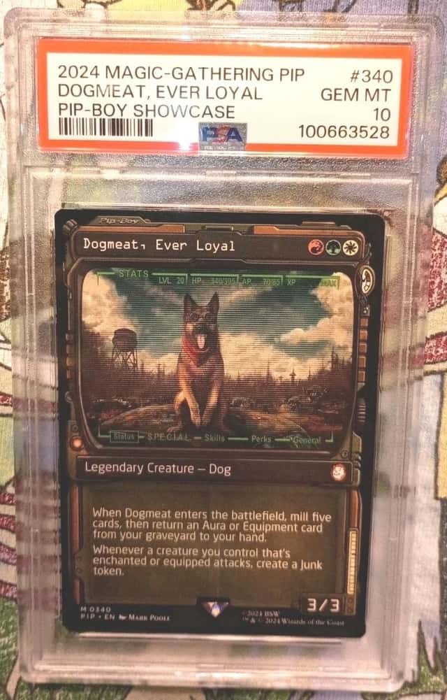 Dogmeat, Ever Loyal