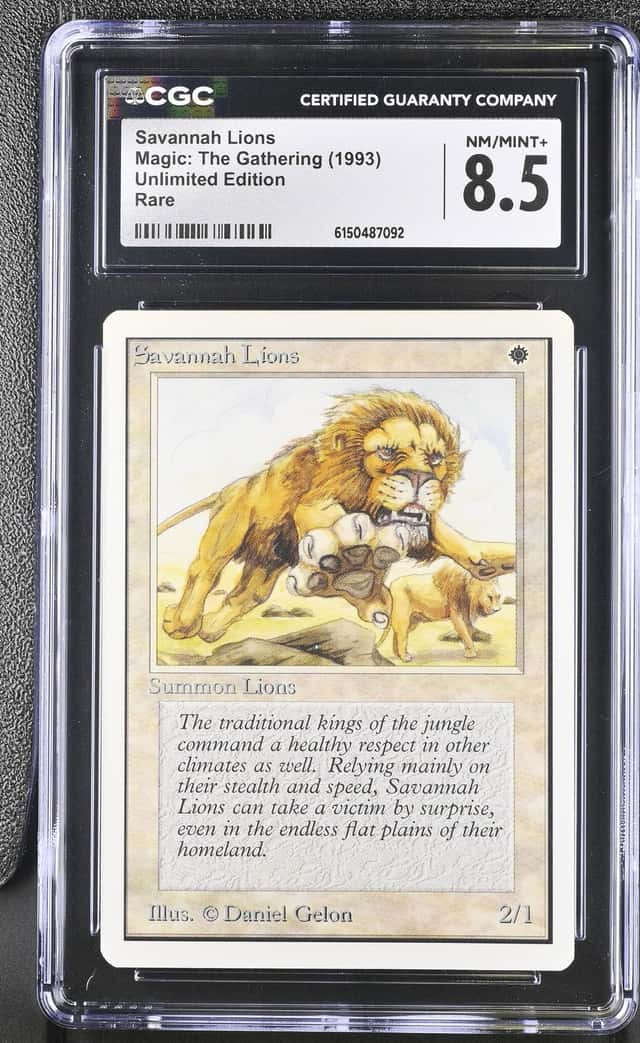 Savannah Lions
