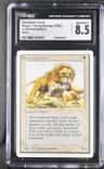 Savannah Lions