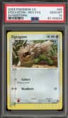 Zigzagoon