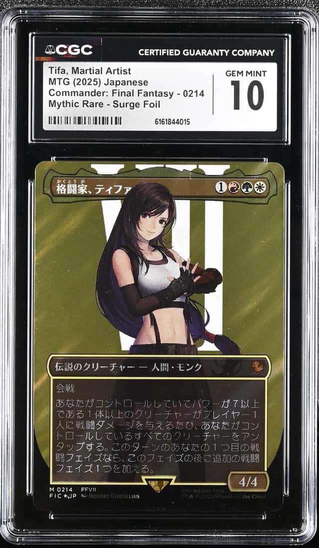 Tifa, Martial Artist