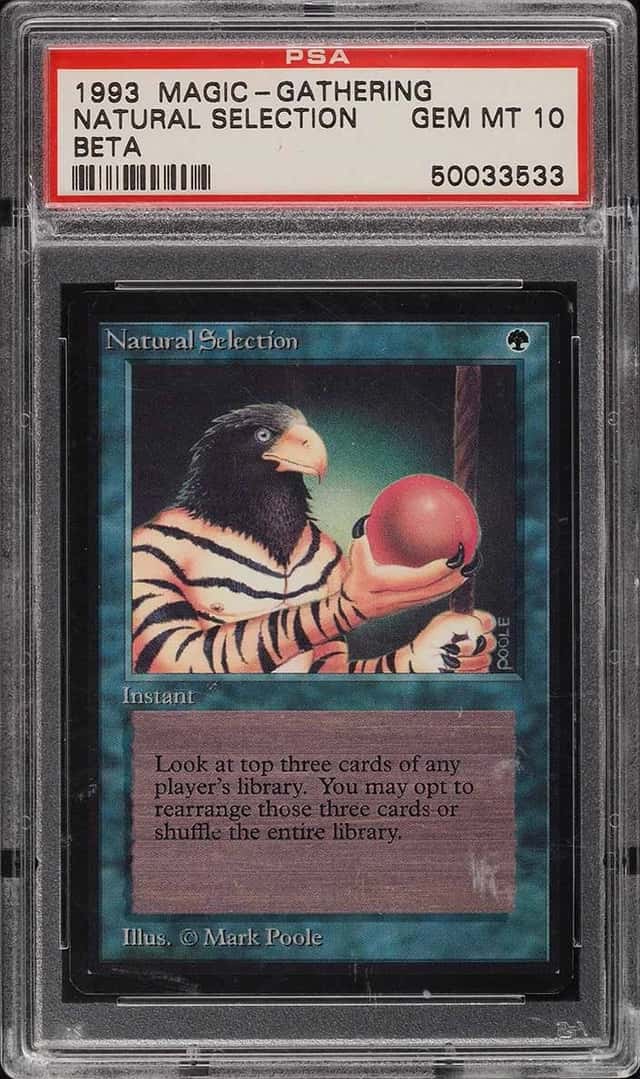 Natural Selection