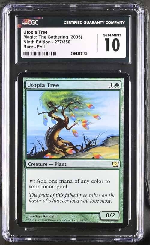 Utopia Tree