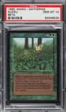 Kudzu