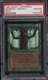 Ironroot Treefolk