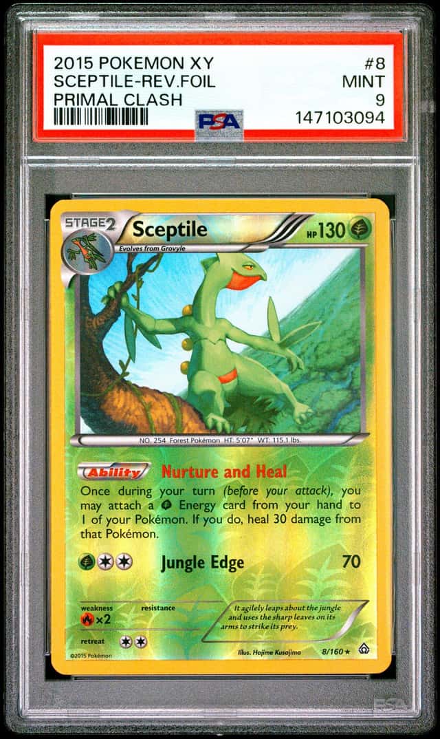 Sceptile