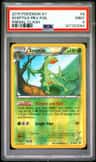 Sceptile