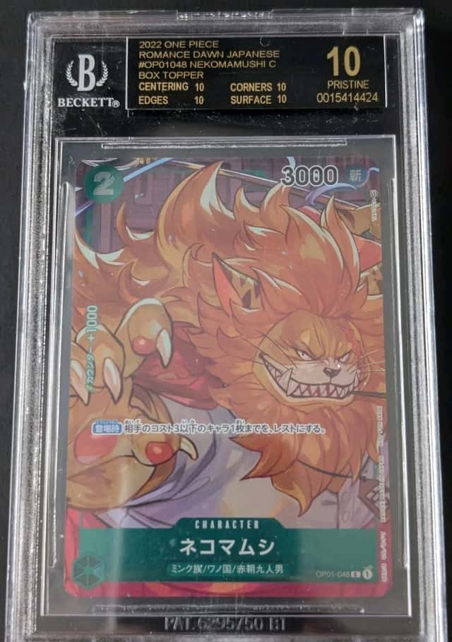 Nekomamushi C