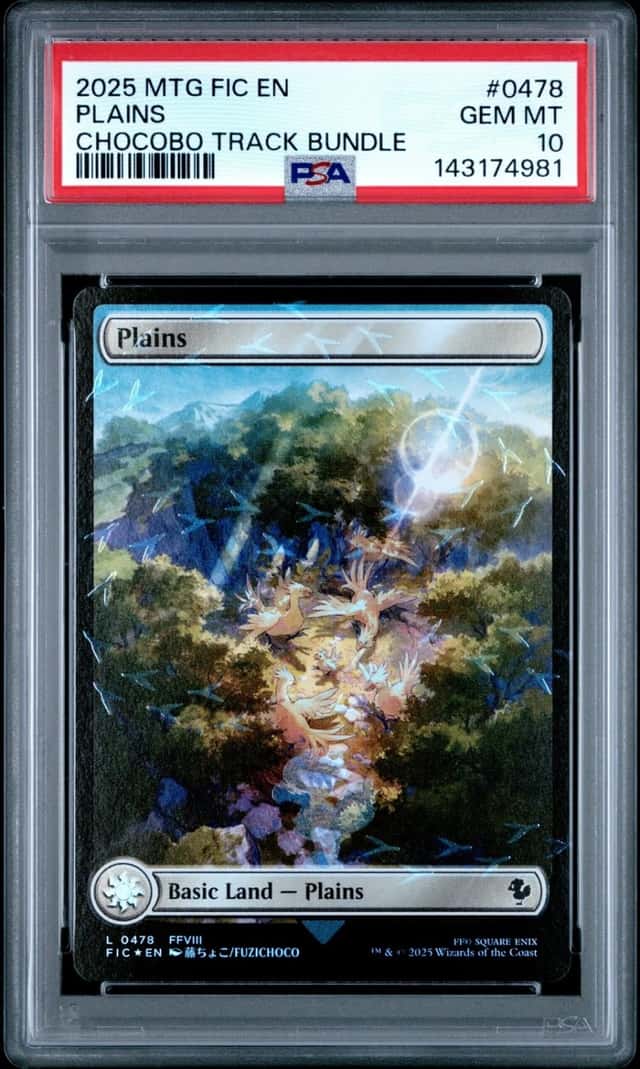 Plains